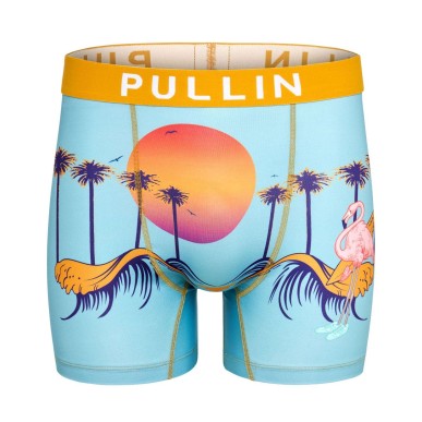 Boxer Pull in Fashion 2 Guide