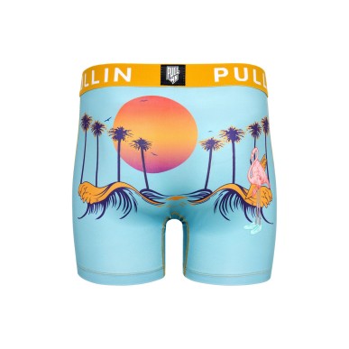 Boxer Pull in Fashion 2 Guide