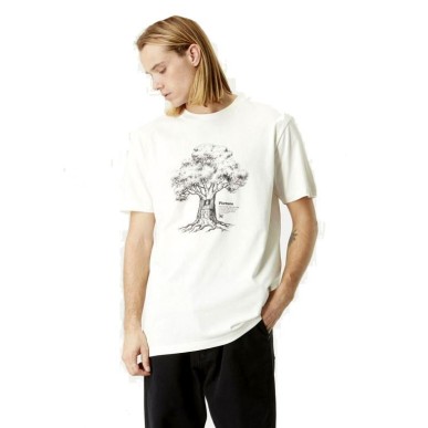 Picture D&S bicyfox tee natural white