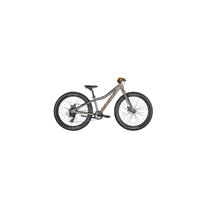 SCOTT Roxter 24 silver