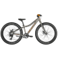 SCOTT Roxter 24 silver