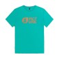 Picture Basement Cork Tee spectra green