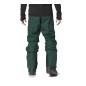 Picture Object Pant ponderosa pine