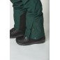 Picture Object Pant ponderosa pine