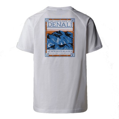 The North Face North Faces Tee white