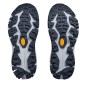 Hoka Speedgoat 6 gull / stormy skies
