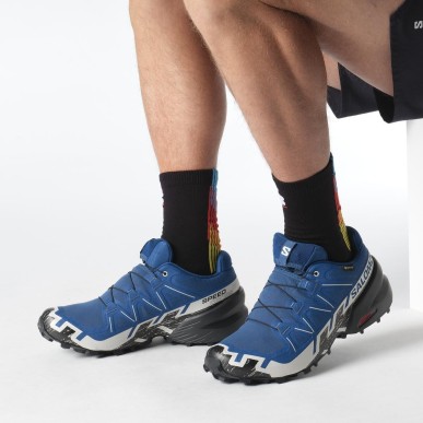 Salomon Speedcross 6 GTX poseidon / black / lunar rock