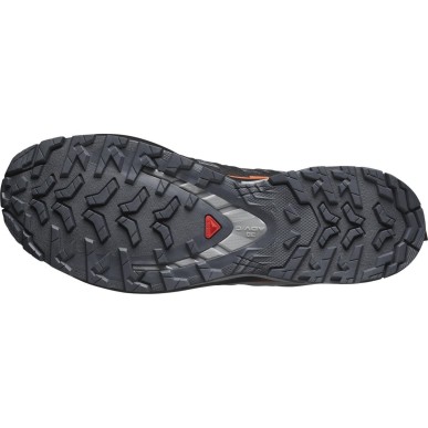 Salomon XA Pro 3D V9 GTX turbulence / black / burnt ochre