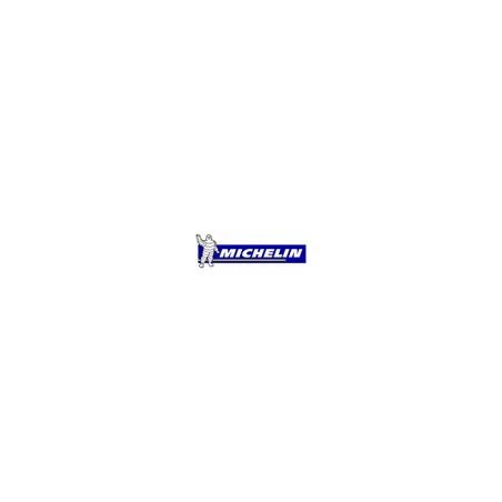 Tous les produits MICHELIN logo MICHELIN