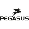 PEGASUS